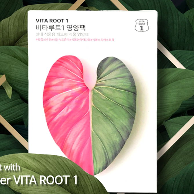 비타루트1 홍보영상